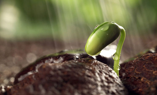 مسؤولية الإصلاح في المجتمع